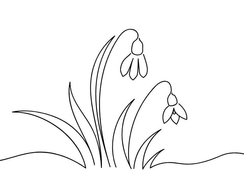 pottkieker-gruene