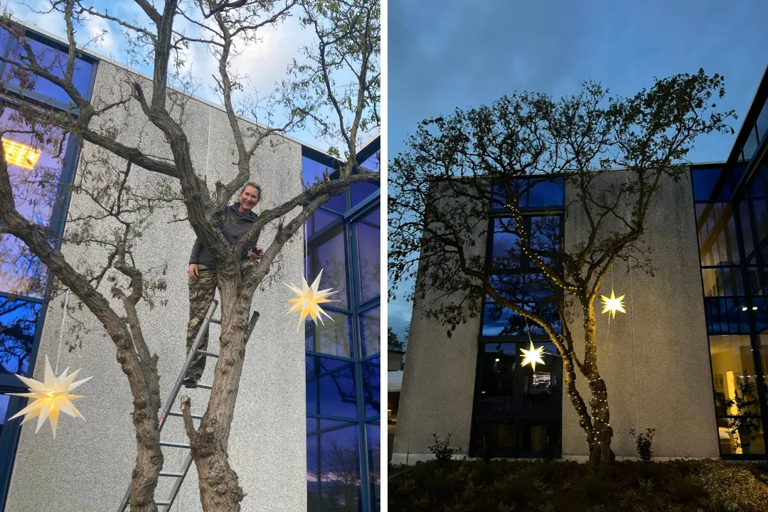 SPI Baumdeko für Weihnachten